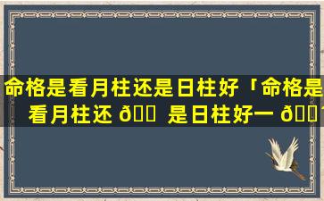 命格是看月柱还是日柱好「命格是看月柱还 🐠 是日柱好一 🐴 点」